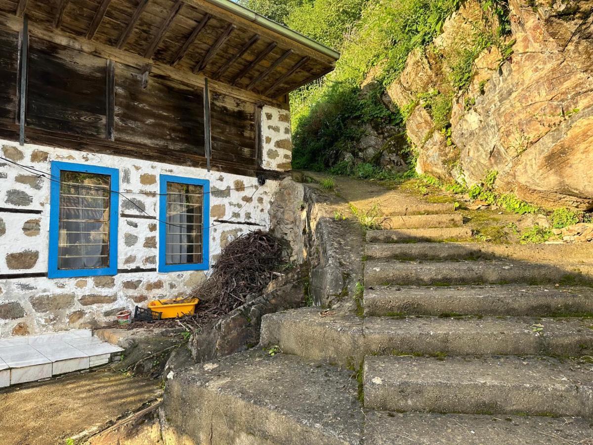 Chaletu أوزونغول Uzongol Fotinos Wooden Two Bedroom Caykara